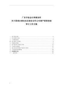 清产核资投标用审计工作方案