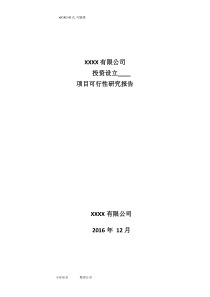 境外投资的可行性实施的实施计划书模板