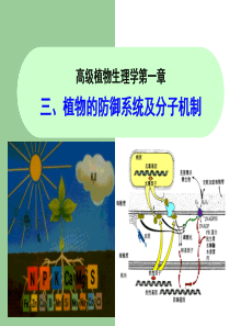 高级植物生理学第一章(三)植物的防御系统及分子机制