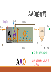 AAO工艺动画