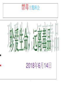 禁毒主题班会(共60张)