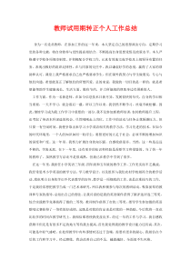 教师试用期转正个人工作总结