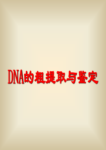 (完整版)DNA的粗提取与鉴定(优秀课件)