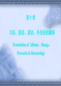 10.习语、俚语、谚语、外来语的翻译