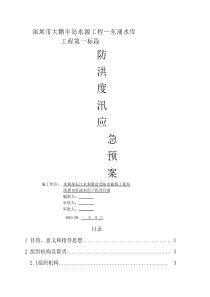 防洪度汛应急预案