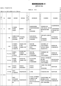 过程PROCESS-FMEA