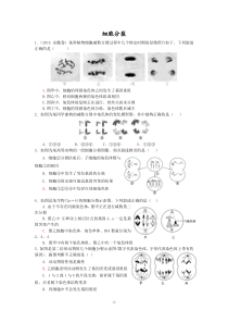 细胞分裂中的异常---习题