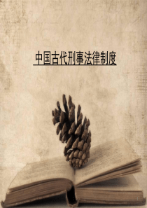 中国古代法制史——刑罚基本原则ppt课件