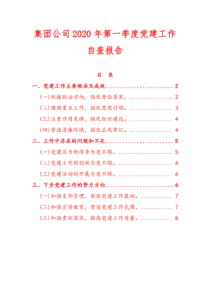 集团公司2020年第一季度党建工作自查报告