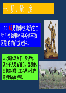 马克思主义基本原理概论2.3社会实践中的“适度”原则