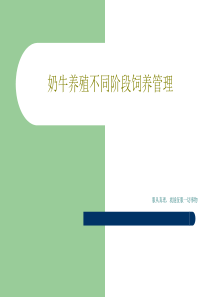 奶牛养殖不同阶段饲养管理共66页文档