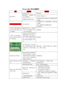 Western-Blot常见问题解析