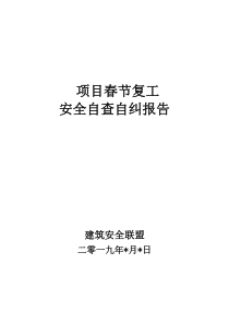 项目部春节后复工安全检查自查报告