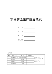 5 项目应急总预案