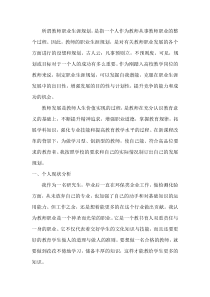 高校教师职业规划