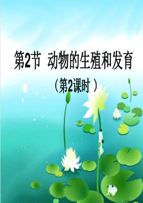 北师大版初中生物八年级上册-第六单元第十九章第二节-动物的生殖和发育-课件(共26张)