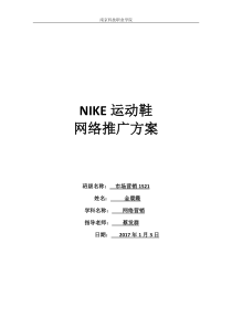 NIKE运动鞋网络推广方案