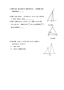 八年级上册数学几何难题突破