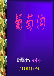 《葡萄沟》说课课件