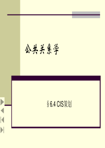 公共关系-CIS