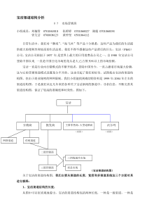 宝洁渠道结构分析1