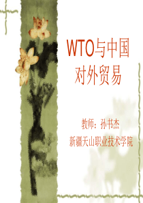 第1章WTO概论