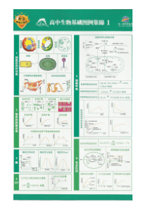 高中生物基础图例集锦