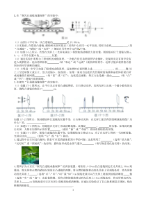 初中物理：中考光学实验题(有答案)