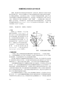 陀螺原理及在实际生活中的应用