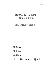 年度全面风险管理报告