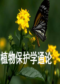 第7章棉花害虫