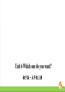 湘少版五年级上英语Unit-6-Which-one-do-you-want课件