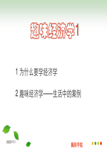 趣味经济学ppt课件