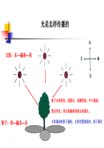 教科版小学科学五年级上册第二单元《光是怎样传播的》PPT课件