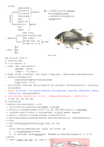 八年级生物上册知识点总结(全面)