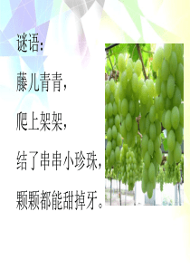 葡萄沟第一课时教学PPT课件