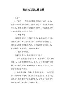 教师见习期工作总结