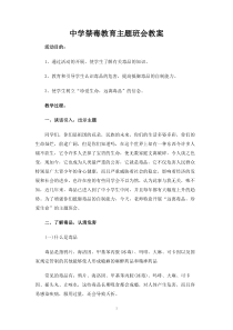 中学禁毒教育主题班会教案