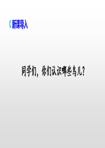 (部编版)四年级上册语文17.-麻雀课件