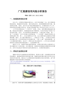 广汇能源信用分析报告