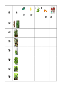 种植园地记录表