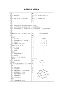 小学体育投掷教案