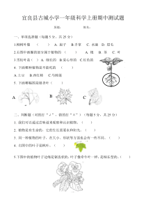 小学一年级科学上册期中试卷