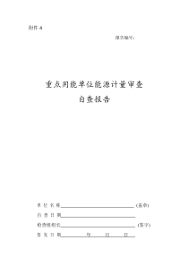 能源计量审查自查报告