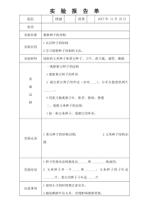 观察种子的结构实验报告单