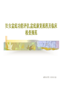 妇女盆底功能评估-盆底康复流程及临床检查规范48页PPT