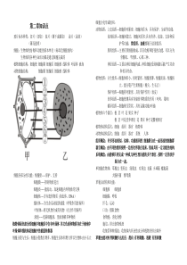 冀教版生物七年级上册第二章知识点