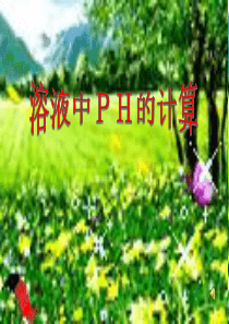 -溶液中PH的计算ppt[1]