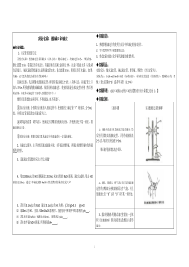 酸碱中和滴定实验报告