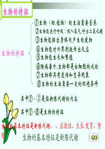 七年级上册生物复习课件